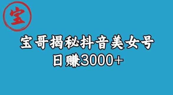 宝哥揭秘抖音美女号玩法，日赚3000+【揭秘】-泰戈创艺资源库