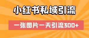 小红书私域引流,一张图片一天引流300+【揭秘】-泰戈创艺资源库