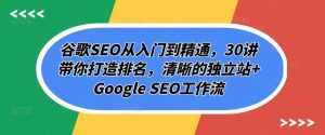 谷歌SEO从入门到精通,30讲带你打造排名,清晰的独立站+Google SEO工作流-泰戈创艺资源库