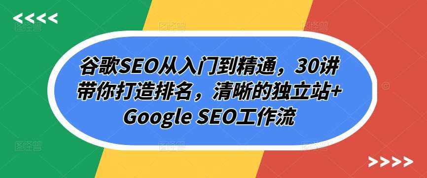 谷歌SEO从入门到精通，30讲带你打造排名，清晰的独立站+Google SEO工作流-泰戈创艺资源库