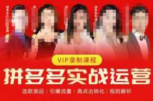 2023推易拼多多实战运营,选款测品、引爆流量、高点击转化、规则解析-泰戈创艺资源库