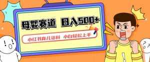 小红书育儿资料,一部手机可操作,多种变现方式,日入500+,私域变现,长期可持续项目【揭秘】-泰戈创艺资源库