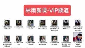林雨新课VIP频道，玩赚私域/朋友圈/社群-泰戈创艺资源库