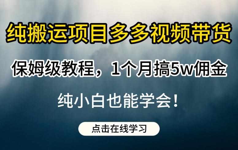 纯搬运项目多多视频带货保姆级教程,1个月搞5w佣金,纯小白也能学会【揭秘】-泰戈创艺资源库
