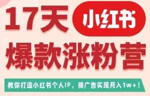 17天小红书爆款涨粉营（广告变现方向），教你打造小红书博主IP、接广告变现的-泰戈创艺资源库