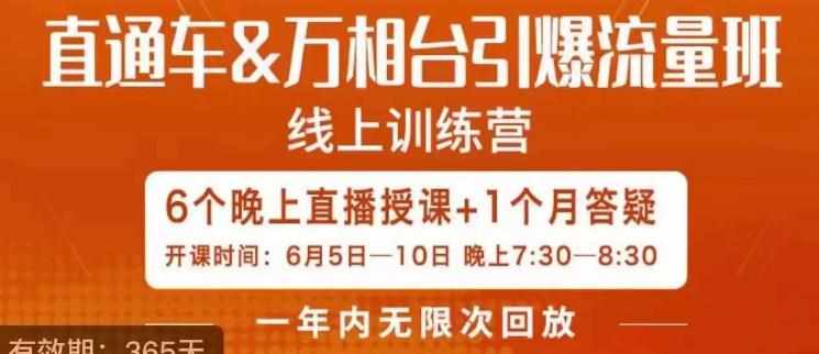直通车&万相台引爆流量班，6天打通你开直通车·万相台的任督二脉-泰戈创艺资源库