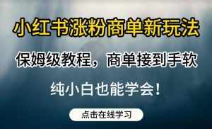 小红书涨粉商单新玩法,保姆级教程,商单接到手软,纯小白也能学会【揭秘】-泰戈创艺资源库