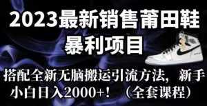 2023最新销售莆田鞋暴利项目,搭配全新无脑搬运引流方法,新手小白日入2000+【揭秘】-泰戈创艺资源库