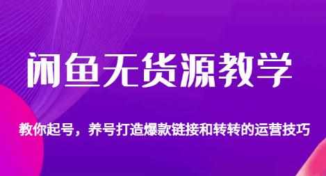闲鱼无货源教学，教你起号，养号打造爆款链接以及转转的运营技巧-泰戈创艺资源库
