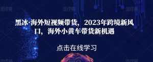 黑冰·海外短视频带货，2023年跨境新风口，海外小黄车带货新机遇-泰戈创艺资源库