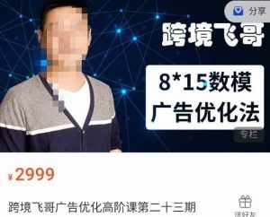 跨境飞哥·广告优化高阶课第二十三期,8*15数模广告优化法,用数据驱动决策-泰戈创艺资源库