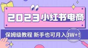 阿本小红书电商陪跑营4.0,带大家从0到1把小红书做起来-泰戈创艺资源库