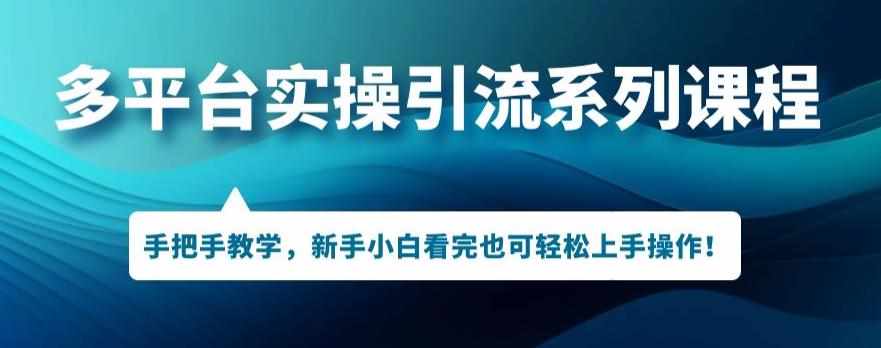 多平台引流实操系列课程，新手小白看完也可轻松上手进行引流操作-泰戈创艺资源库