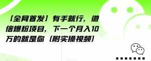 【全网首发】有手就行,微信爆粉项目,下一个月入10万的就是你(附实操视频)【揭秘】-泰戈创艺资源库
