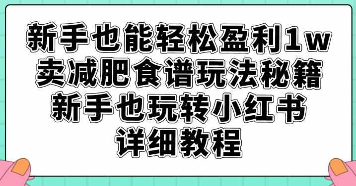 新手也能轻松盈利1w，卖减肥食谱玩法秘籍，新手也玩转小红书详细教程【揭秘】-泰戈创艺资源库