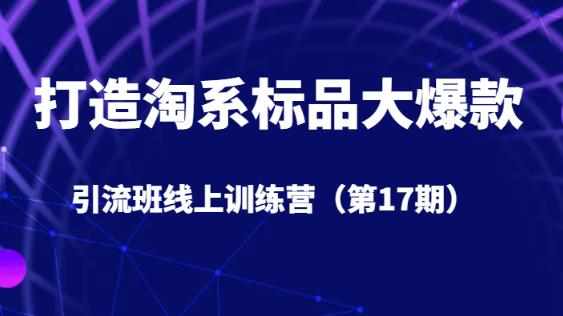 打造淘系标品大爆款引流班线上训练营5天直播授课-泰戈创艺资源库