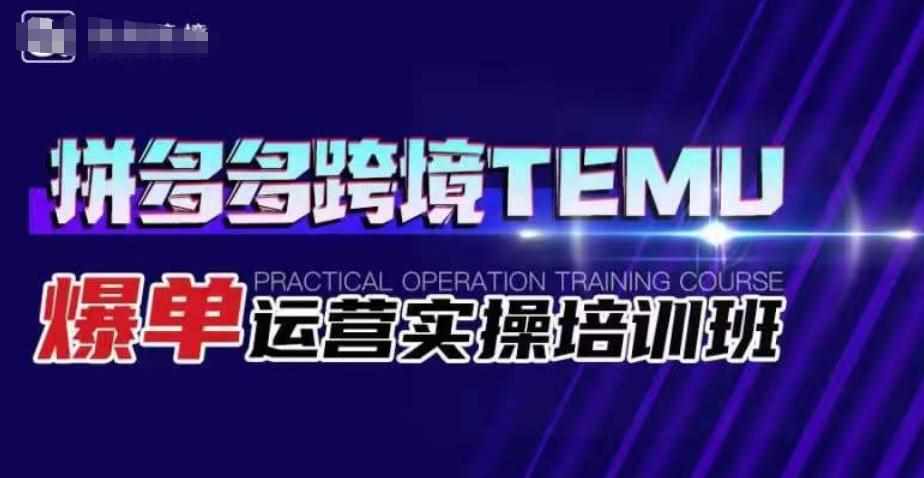 拼多多跨境TEMU爆单运营实操培训班，海外拼多多的选品、运营、爆单-泰戈创艺资源库