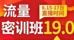 秋秋线上流量密训班19.0,打通流量关卡,线上也能实战流量破局-泰戈创艺资源库