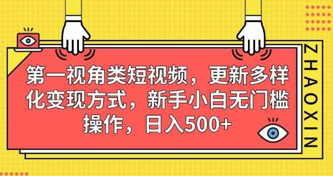 第一视角类短视频，更新多样化变现方式，新手小白无门槛操作，日入500+【揭秘】-泰戈创艺资源库