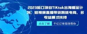 2023风口项目TikTok出海掘金计划，短视频直播带货跨境电商，多收益模式扶持-泰戈创艺资源库