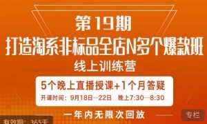 钟辰·拼多多单品爆款班,一个拼多多超级爆款养一个团队-泰戈创艺资源库