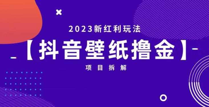 抖音壁纸小程序创作者撸金项目，2023新红利玩法【项目拆解】-泰戈创艺资源库
