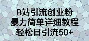 B站引流创业粉，暴力简单详细教程，轻松日引流50+【揭秘】-泰戈创艺资源库