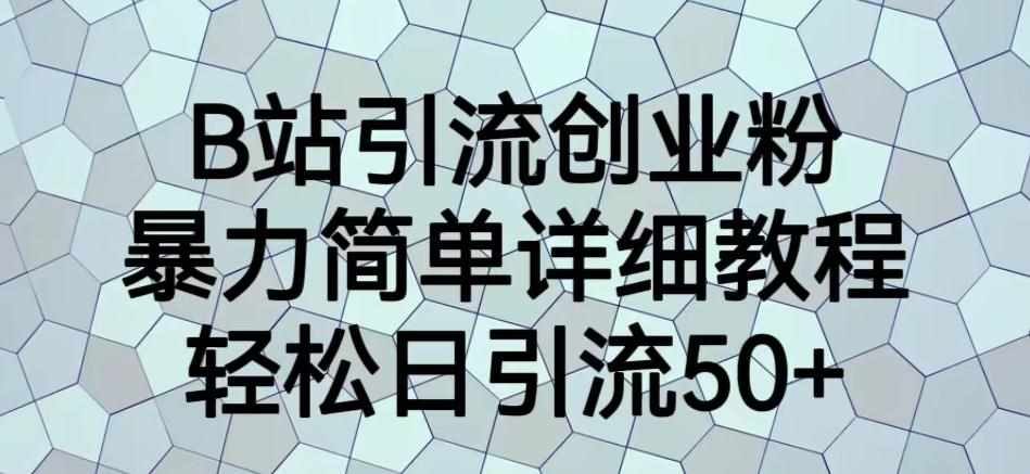 B站引流创业粉，暴力简单详细教程，轻松日引流50+【揭秘】-泰戈创艺资源库