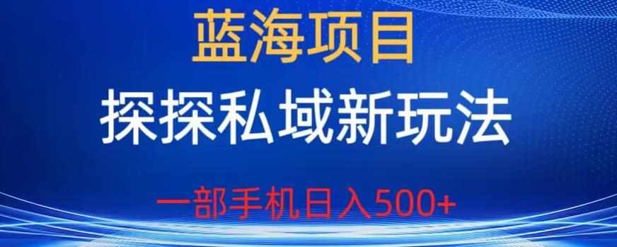 蓝海项目，探探私域新玩法，一部手机日入500+很轻松【揭秘】-泰戈创艺资源库