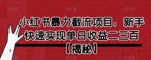 小红书暴力截流项目,新手快速实现单日收益二三百【仅揭秘】-泰戈创艺资源库