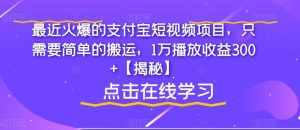 最近火爆的支付宝短视频项目，只需要简单的搬运，1万播放收益300+【揭秘】-泰戈创艺资源库