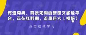 有道词典，前景无限的新图文搬运平台，正在红利期，流量巨大【揭秘】-泰戈创艺资源库