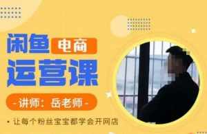 岳老师·闲鱼电商运营课,让每个粉丝宝宝都学会开网店-泰戈创艺资源库