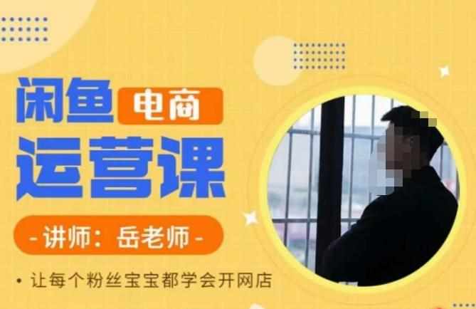 岳老师·闲鱼电商运营课，让每个粉丝宝宝都学会开网店-泰戈创艺资源库