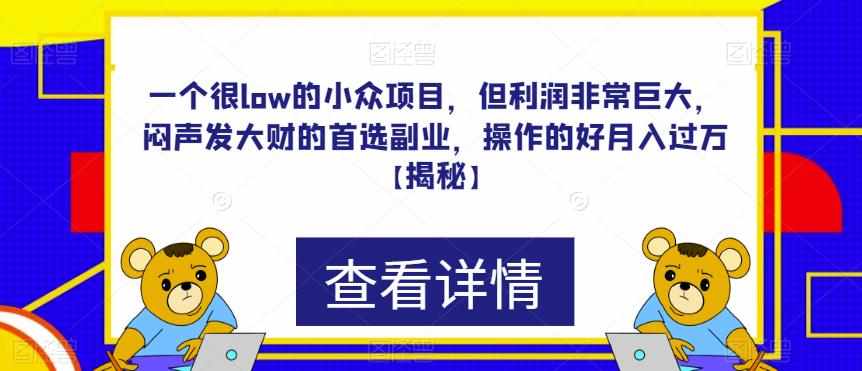 一个很low的小众项目，但利润非常巨大，闷声发大财的首选副业，操作的好月入过万【揭秘】-泰戈创艺资源库
