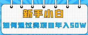 新手小白如何通过卖项目年入50W【揭秘】-泰戈创艺资源库