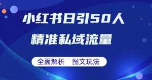 全面解析小红书图文引流日引50私域流量【揭秘】-泰戈创艺资源库