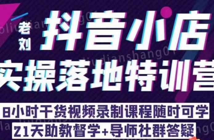 老刘·抖店商品卡流量，​抖音小店实操落地特训营，8小时干货视频录制课程随时可学-泰戈创艺资源库