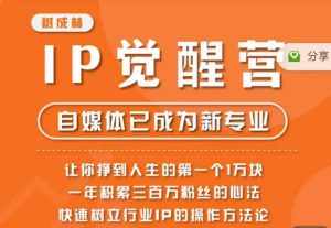 树成林·IP觉醒营,快速树立行业IP的操作方法论,让你赚到人生的第一个1万块(更新)-泰戈创艺资源库