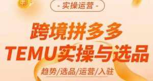 伍跃·跨境拼多多TEMU实操与选品，​趋势/选品/运营/入住（27节完整）-泰戈创艺资源库