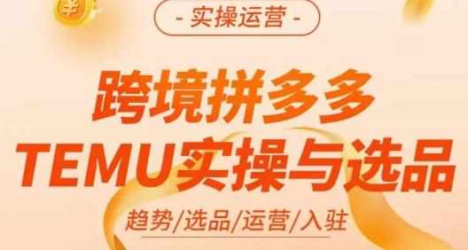 伍跃·跨境拼多多TEMU实操与选品，​趋势/选品/运营/入住（27节完整）-泰戈创艺资源库