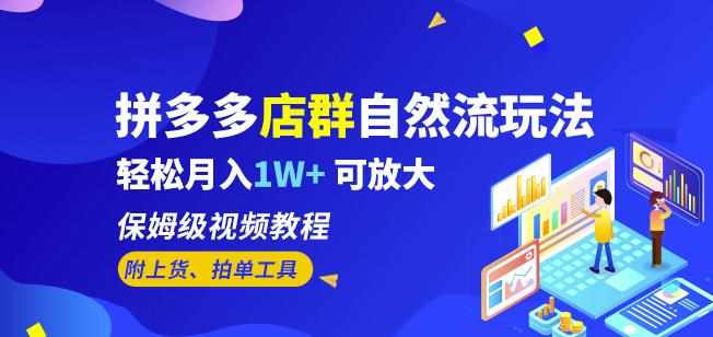 拼多多店群自然流玩法，轻松月入1W+保姆级视频教程（附上货、拍单工具）-泰戈创艺资源库