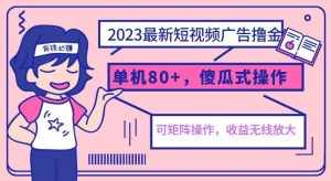 2023最新玩法短视频广告撸金，单机收益80+，可矩阵，傻瓜式操作，小白可上手【揭秘】-泰戈创艺资源库