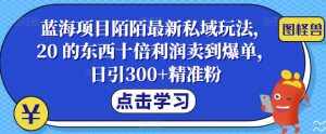 蓝海项目陌陌最新私域玩法，20 的东西十倍利润卖到爆单，日引300+精准粉【揭秘】-泰戈创艺资源库