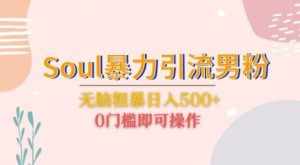 Soul暴力引流男粉玩法，无脑粗暴日入500＋，0门槛即可操作【揭秘】-泰戈创艺资源库