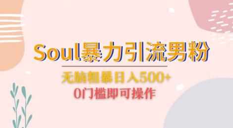 Soul暴力引流男粉玩法，无脑粗暴日入500＋，0门槛即可操作【揭秘】-泰戈创艺资源库