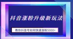 抖音涨粉升级新玩法,教你抖音号如何快速涨粉5000+【揭秘】-泰戈创艺资源库