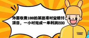 外面收费188的美团准时宝赔付项目,一小时完成一单利润200【仅揭秘】-泰戈创艺资源库