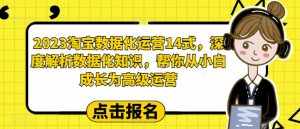 2023淘宝数据化运营14式，深度解析数据化知识，帮你从小白成长为高级运营-泰戈创艺资源库