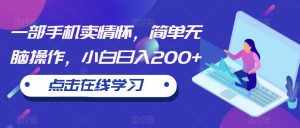 一部手机卖情怀，简单无脑操作，小白日入200+【揭秘】-泰戈创艺资源库